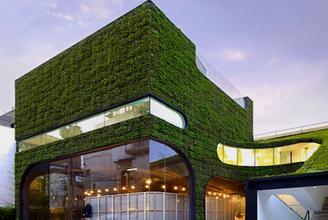 2025新澳门免费原料宝典