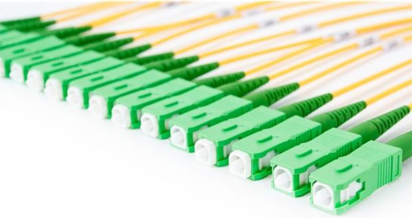 2025新澳门免费原料宝典