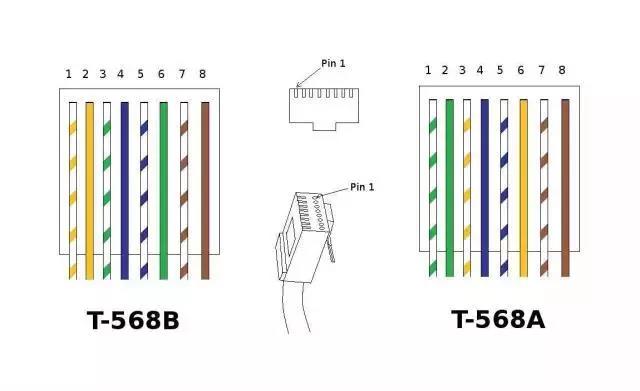 2025新澳门免费原料宝典