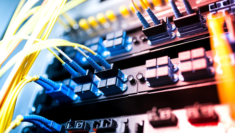 2025新澳门免费原料宝典