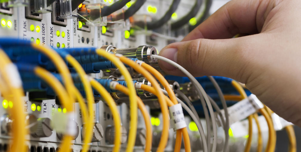 2025新澳门免费原料宝典