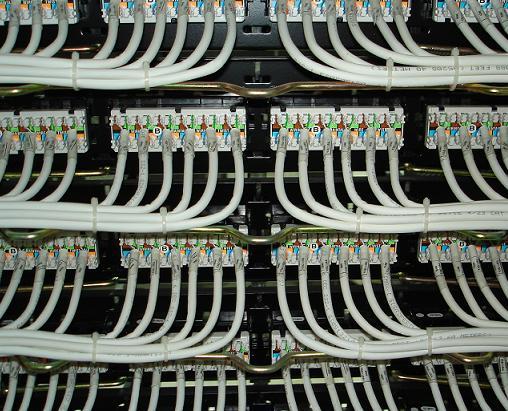 2025新澳门免费原料宝典