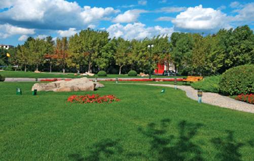 兰德湖公园绿化