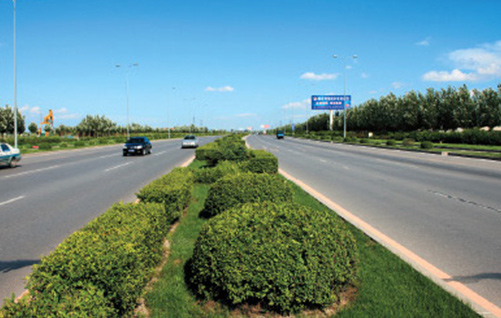 大庆中宝路至南四通路绿化