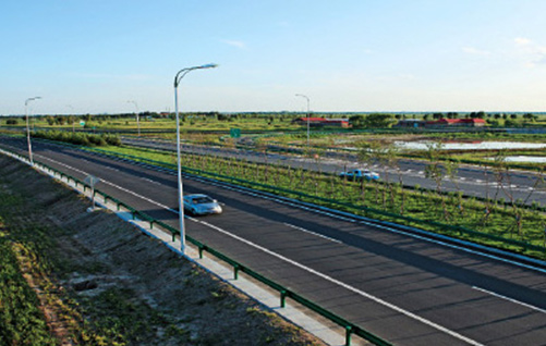 大广高速公路绿化