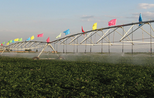 大庆市星火牧场高标准基本农田项目