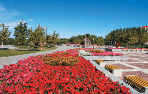 大广高速公路管理处绿化