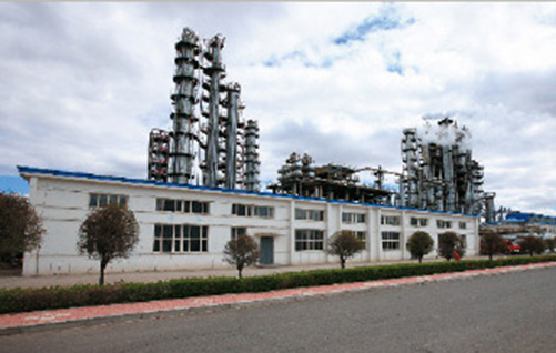 大庆中蓝石化公司厂房