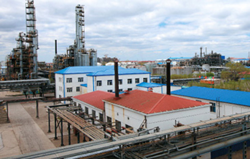 大庆中蓝石化公司厂房