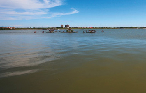 新疆维吾尔自治区克拉玛依西郊水库