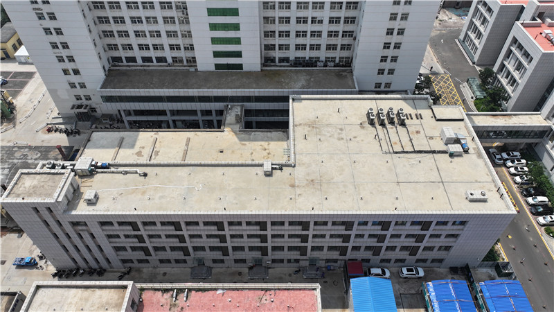 2025新澳门免费原料宝典