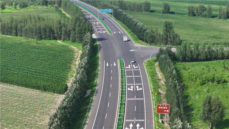 2025新澳门免费原料宝典