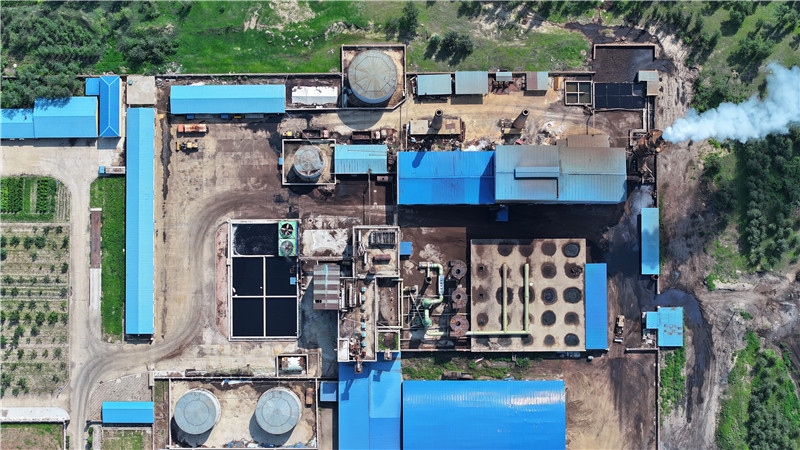 2025新澳门免费原料宝典