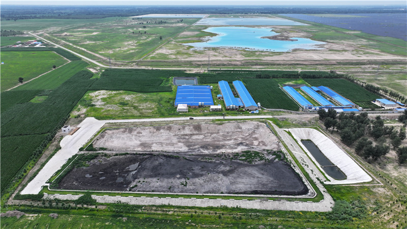 2025新澳门免费原料宝典