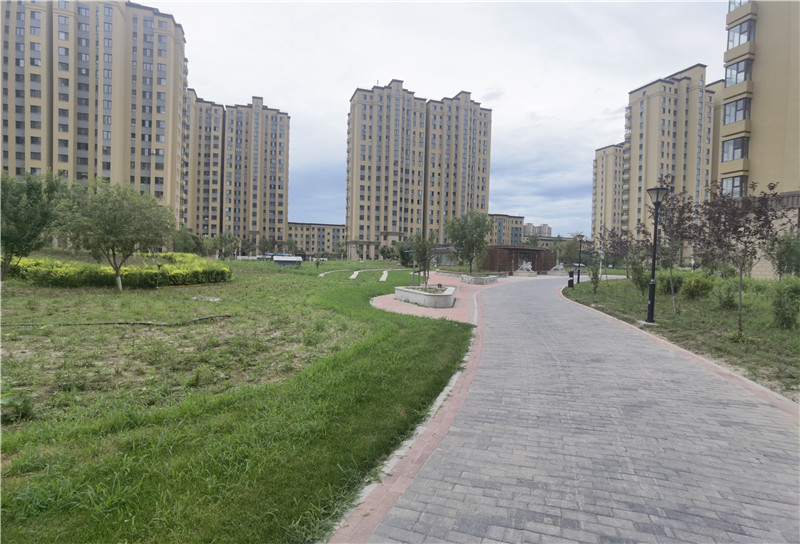 2025新澳门免费原料宝典