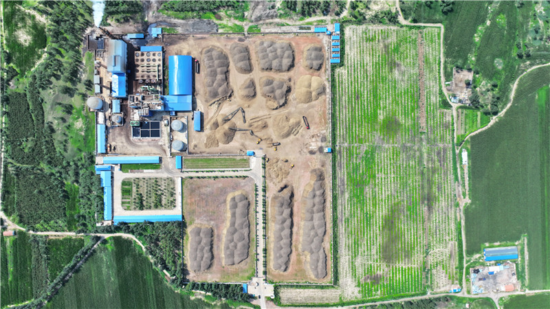 2025新澳门免费原料宝典