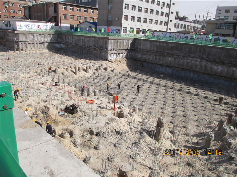 2025新澳门免费原料宝典