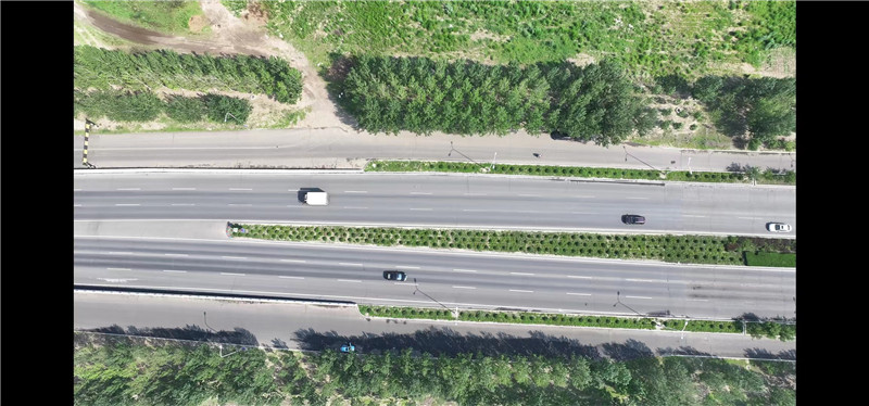 2025新澳门免费原料宝典