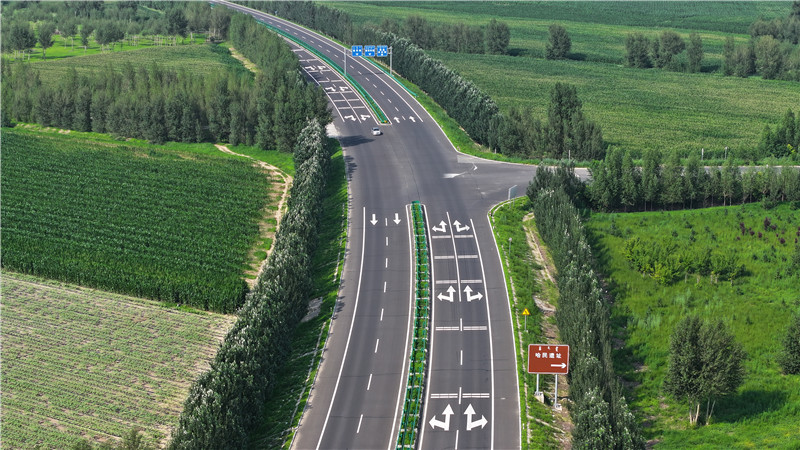 2025新澳门免费原料宝典