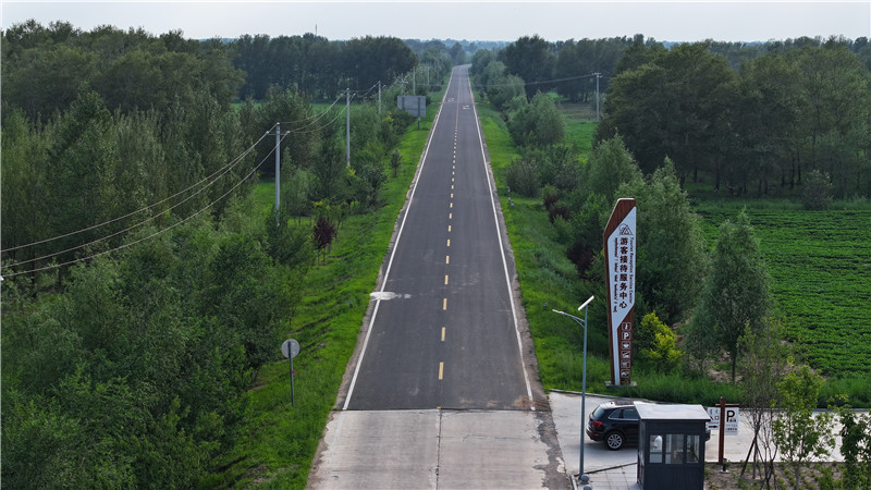 2025新澳门免费原料宝典