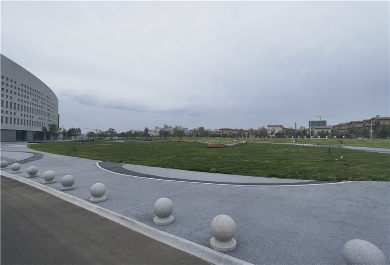 2025新澳门免费原料宝典