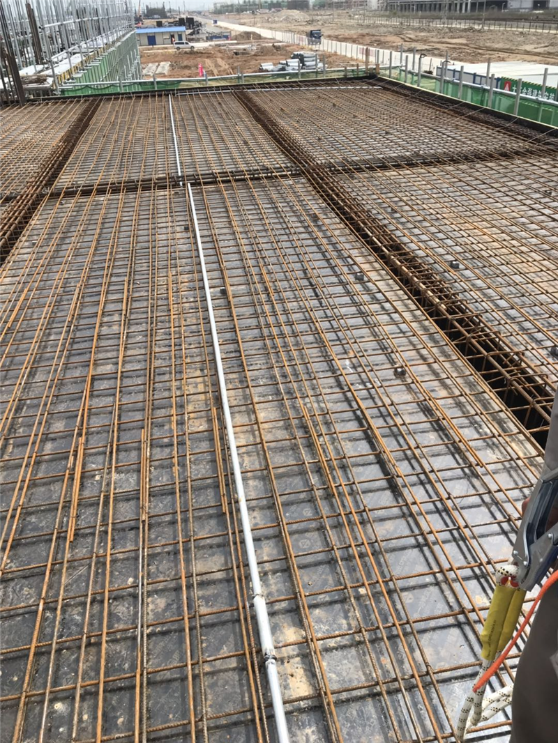 2025新澳门免费原料宝典