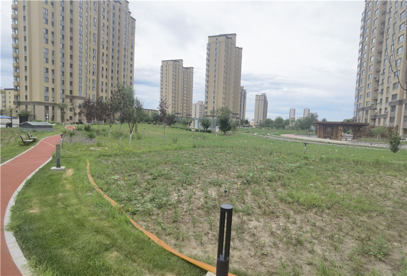 2025新澳门免费原料宝典