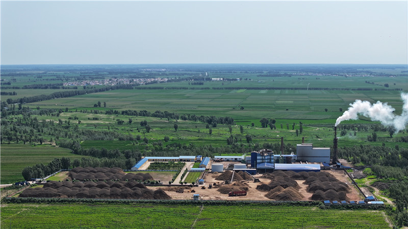 2025新澳门免费原料宝典