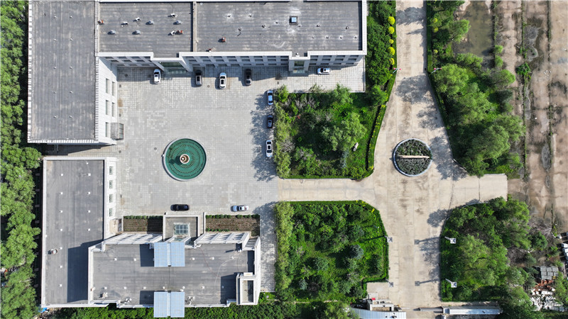 2025新澳门免费原料宝典