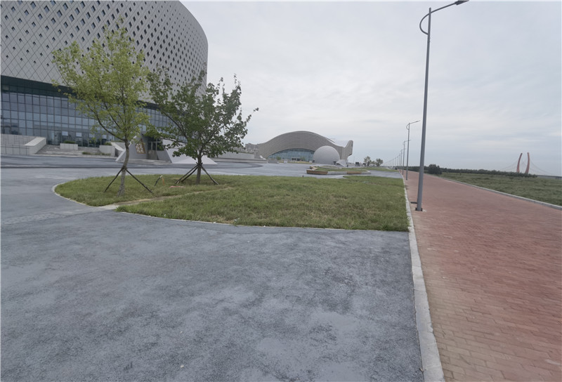 2025新澳门免费原料宝典