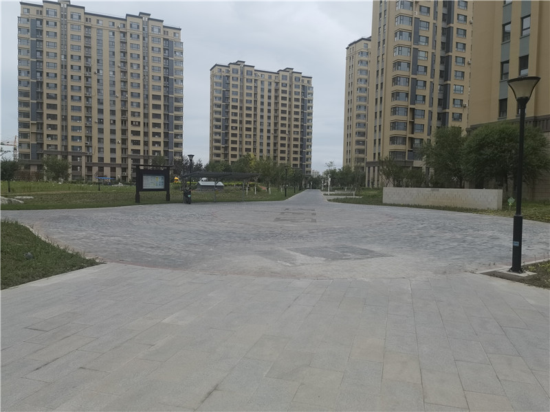 2025新澳门免费原料宝典