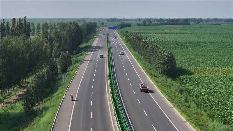 2025新澳门免费原料宝典