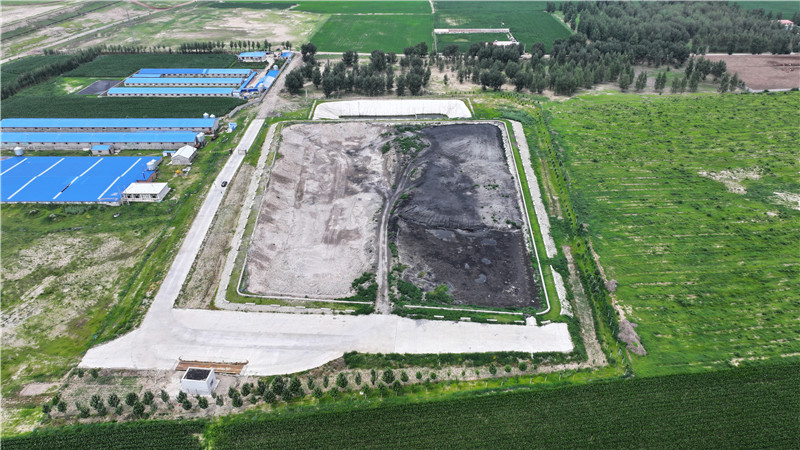 2025新澳门免费原料宝典