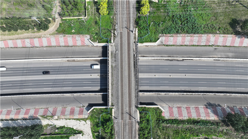 2025新澳门免费原料宝典